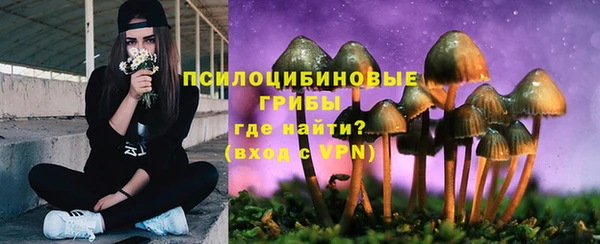 MESCALINE Вяземский
