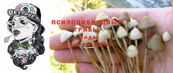 не бодяженный Вязьма