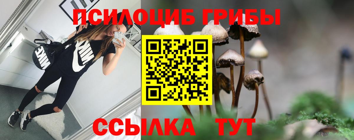 Псилоцибиновые грибы Magic Shrooms Ухта